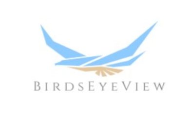 BirdsEyeView launches AI Data Scrubbing to streamline hazard modelling