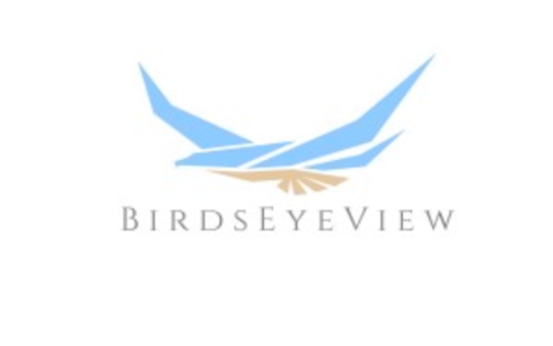 BirdsEyeView logo